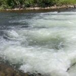 豊平川 熊に関しては安全なシティ派の釣り…なのかもしれない