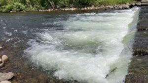 豊平川 熊に関しては安全なシティ派の釣り…なのかもしれない