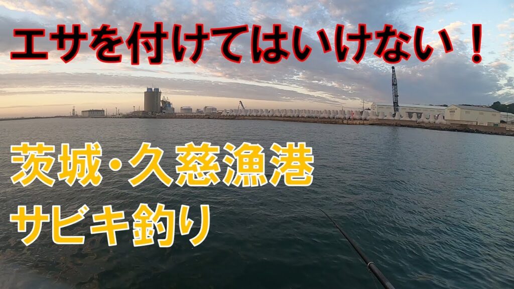 エサを付けてはいけないサビキ釣り＠久慈漁港
