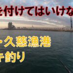 エサを付けてはいけないサビキ釣り＠久慈漁港