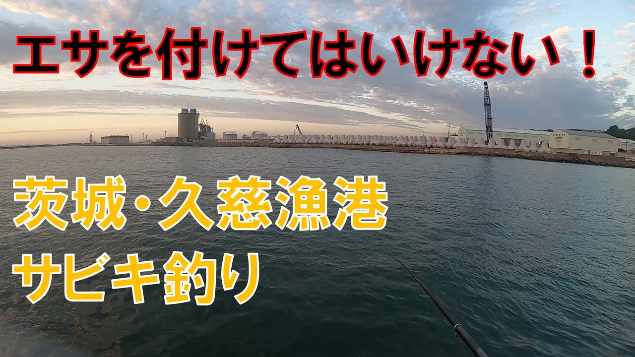 エサを付けてはいけないサビキ釣り@久慈漁港