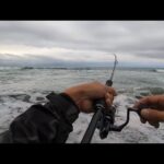 今週のガチ朝マヅメサーフリアル釣行❶【浜名湖釣り】🎣