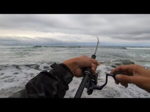 今週のガチ朝マヅメサーフリアル釣行❶【浜名湖釣り】🎣