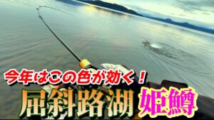 【屈斜路ヒメマス】今年のカラーはこれだ！ミノーで狙う激渋ヒメマスフィッシング･･･