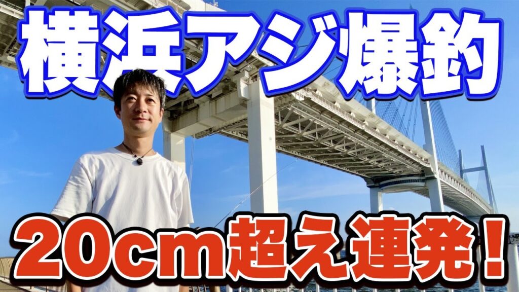 【大黒ふ頭西緑地】誰でも釣れる！足元サビキ釣りで良型アジが入れ食い状態だった！