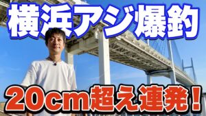 【大黒ふ頭西緑地】誰でも釣れる!足元サビキ釣りで良型アジが入れ食い状態だった!