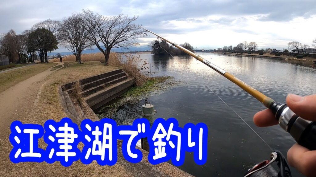 江津湖でバス釣り【熊本】