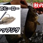 【バス釣り】秋の五行川〜たまにあるアタリな日〜