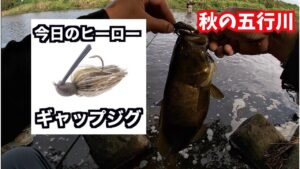 【バス釣り】秋の五行川〜たまにあるアタリな日〜
