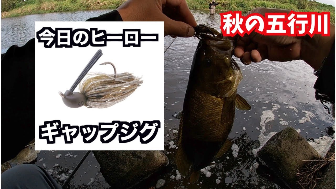【バス釣り】秋の五行川〜たまにあるアタリな日〜
