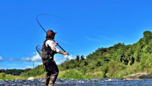 本流で一気に増水して一気に減水すると釣果はどうなるのか？