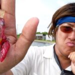 釣れた事が無いルアーと信頼関係を築けるか？【浜名湖フィッシングリゾート】