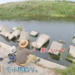 楽しい～！ 多摩川なのに〇〇ばかり釣れます！  稲城の多摩川で小物釣り。