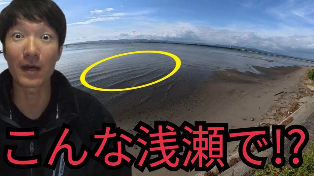 浜名湖の超浅瀬で大物釣り！