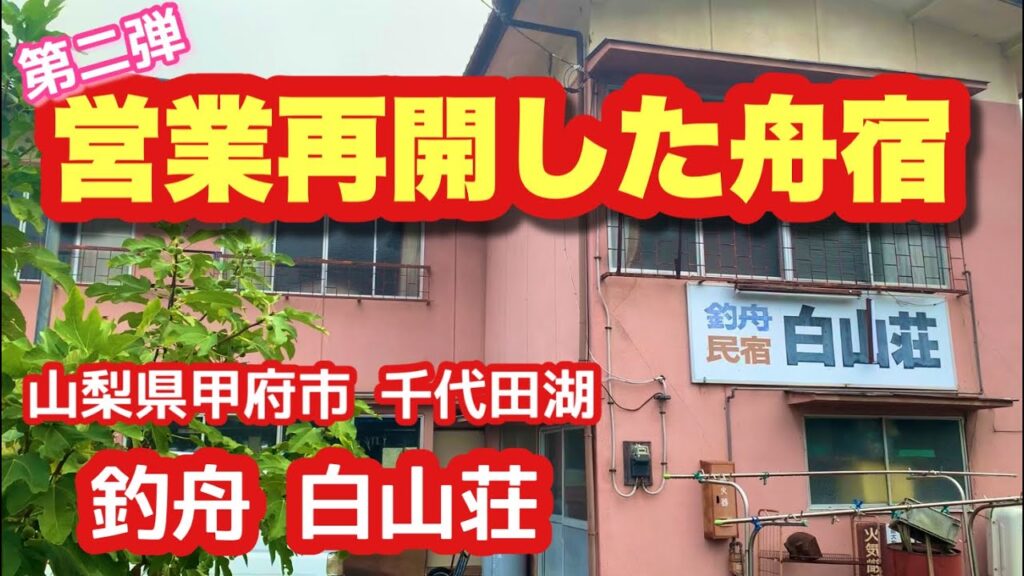 【千代田湖】営業再開したレンタルボート店で釣りしてみた結果… 白山荘 山梨県甲府市