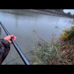 今週のガチ朝マズメリアル釣行❷浜名湖の濃いエリアでシーバスを狙っていたら…🐟️【浜名湖釣り】🎣