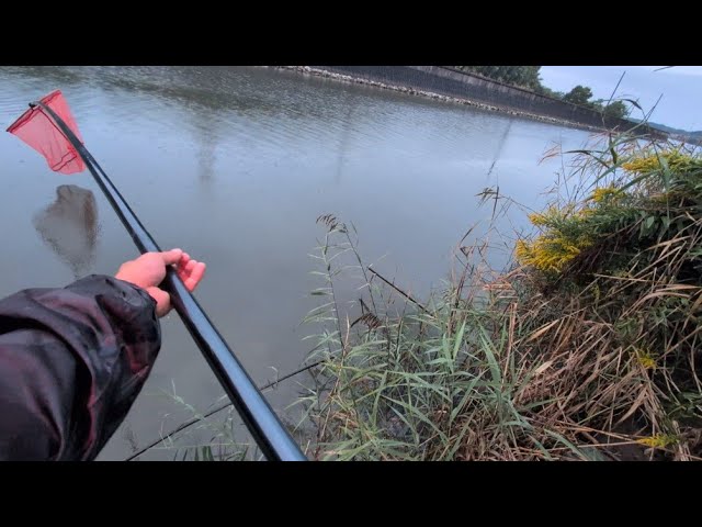 今週のガチ朝マズメリアル釣行❷浜名湖の濃いエリアでシーバスを狙っていたら…🐟️【浜名湖釣り】🎣