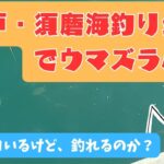 【エサは◯◯◯が釣れる】神戸・須磨海釣り公園でウマズラハギ釣り