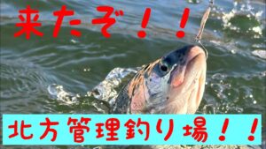 北方管理釣り場の放流攻略！？