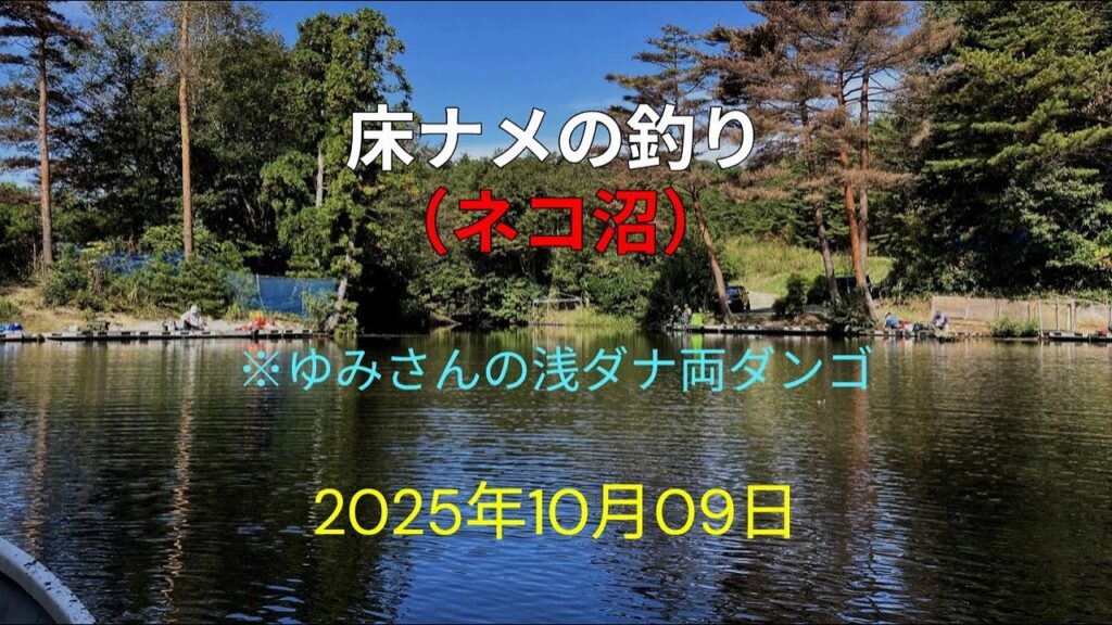 床ナメの釣り（ネコ沼）※ゆみさん浅ダナ両ダンゴ