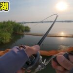 伊庭内湖おかっぱりバス釣り＆西の湖と長命寺川で釣れるポイントを探す