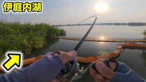 伊庭内湖おかっぱりバス釣り＆西の湖と長命寺川で釣れるポイントを探す