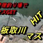 岐阜県板取川「杉島の里」管理釣り場でマス釣りとプチ観光「モネの池」