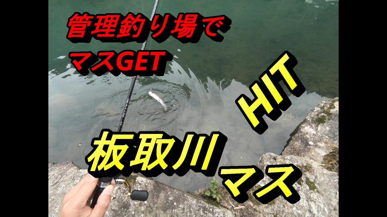 岐阜県板取川「杉島の里」管理釣り場でマス釣りとプチ観光「モネの池」