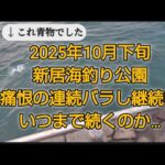 新居海釣り公園　連続バラし記録更新中…得た物は…