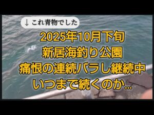新居海釣り公園　連続バラし記録更新中…得た物は…