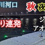 【当たり連発！】 相模川河口 秋のちょい投げ夜釣り  ジャリメ、アオイソメ 平塚