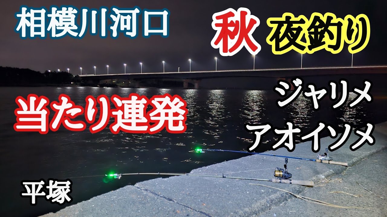 【当たり連発!】 相模川河口 秋のちょい投げ夜釣り ジャリメ、アオイソメ 平塚