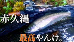 【エリアトラウト】こんなに楽しいと思わなかった！山奥のダム湖が最高でした『赤久縄』