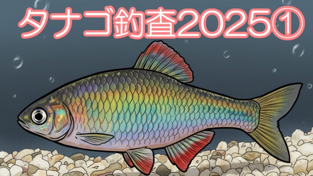 【淡水小物釣り】ﾀﾅｺﾞ調査①ｶｯﾊﾟ沼