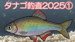 【淡水小物釣り】タナゴ調査①カッパ沼