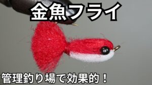 【フライタイイング】金魚フライを巻いてみた!管理釣り場で効果的!キールタイプだから根掛りも回避!