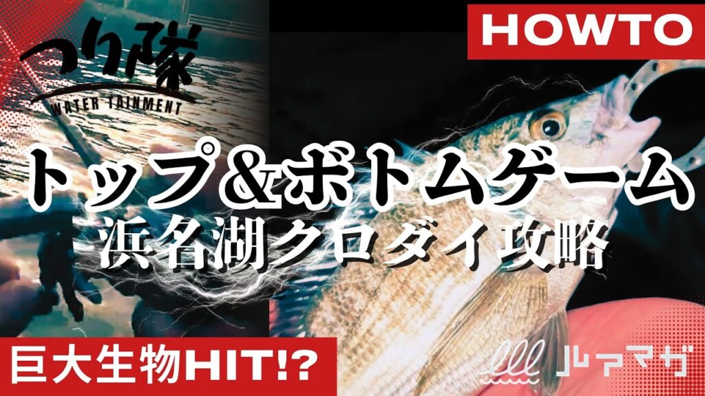 【トップゲームとフリーリグのチニングを分かりやすく解説！】誰でも手軽に狙える！ 元・釣具店員が教えるクロダイの釣り方ハウツー！