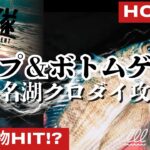 【トップゲームとフリーリグのチニングを分かりやすく解説！】誰でも手軽に狙える！ 元・釣具店員が教えるクロダイの釣り方ハウツー！