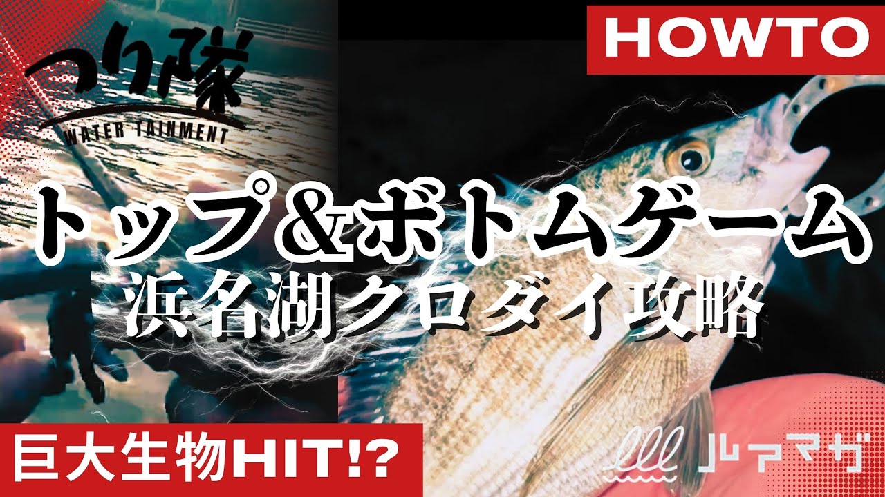 【トップゲームとフリーリグのチニングを分かりやすく解説！】誰でも手軽に狙える！ 元・釣具店員が教えるクロダイの釣り方ハウツー！