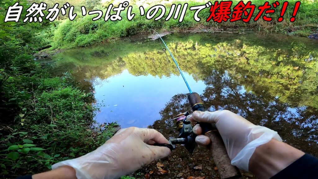 自然いっぱいの川で爆釣するって動画