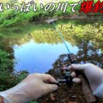 自然いっぱいの川で爆釣するって動画