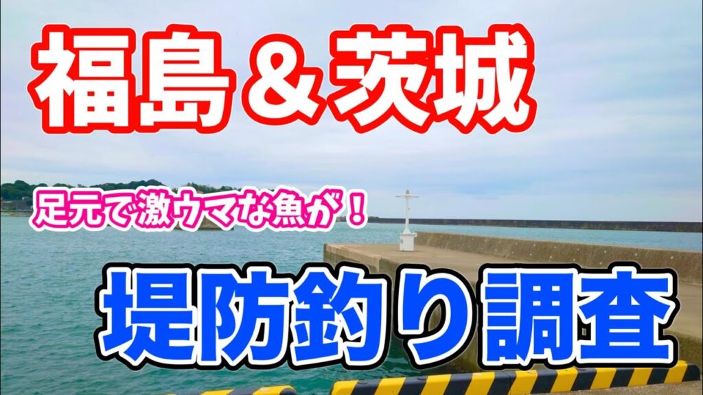 福島＆茨城釣行 堤防釣り調査 手軽に足元で狙えるこの釣りがやっぱり面白い！