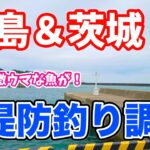 福島＆茨城釣行 堤防釣り調査 手軽に足元で狙えるこの釣りがやっぱり面白い！