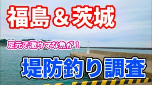 福島＆茨城釣行 堤防釣り調査 手軽に足元で狙えるこの釣りがやっぱり面白い！