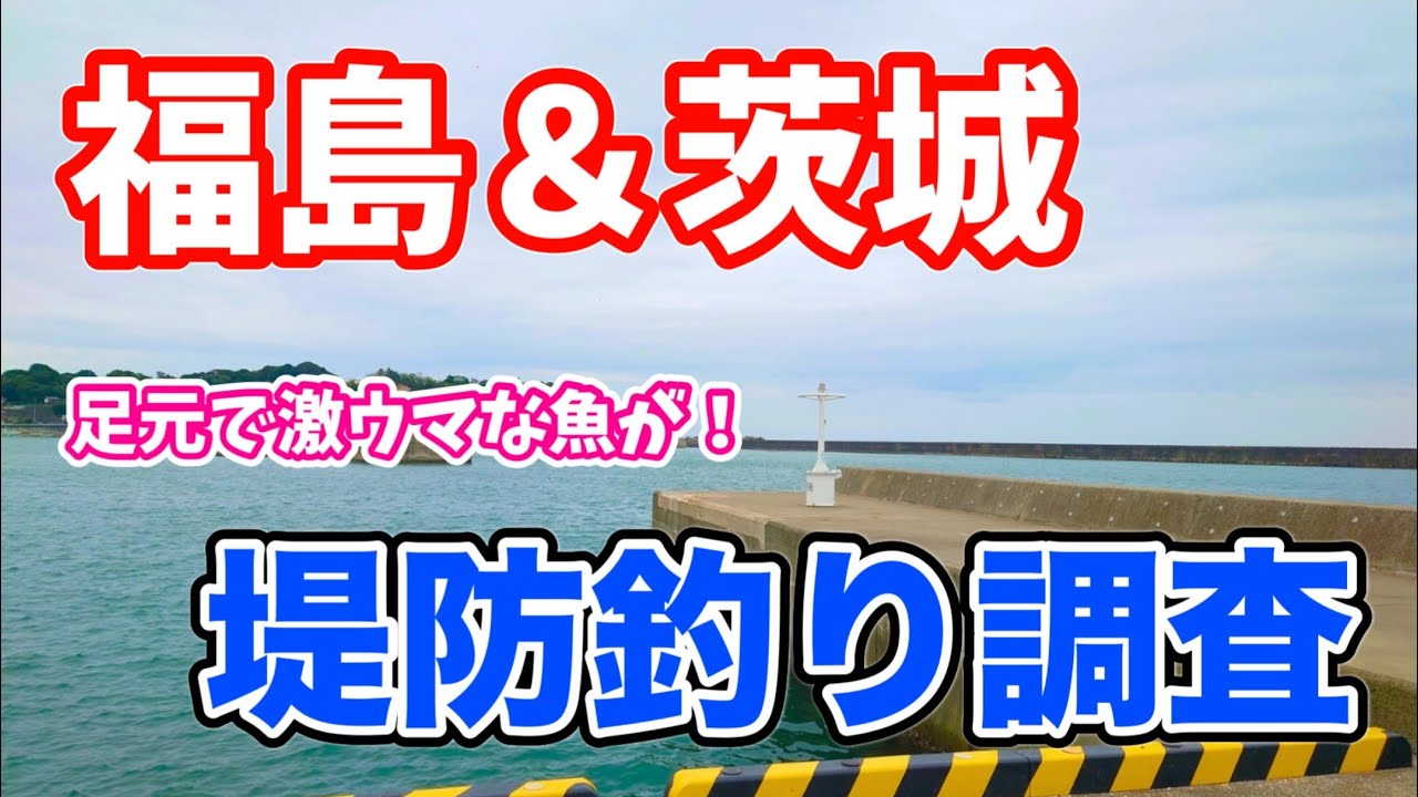 福島&茨城釣行 堤防釣り調査 手軽に足元で狙えるこの釣りがやっぱり面白い!