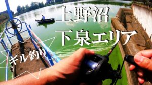 【上野沼、ルアー、ウキ釣り】【利根川＆荒川水系、バス釣り、コイ釣り、雷魚釣り、ナマズ釣り、フィシング、埼玉釣り、関東釣り、千葉釣り、茨城釣り、桜川市上野原地新田エリア】