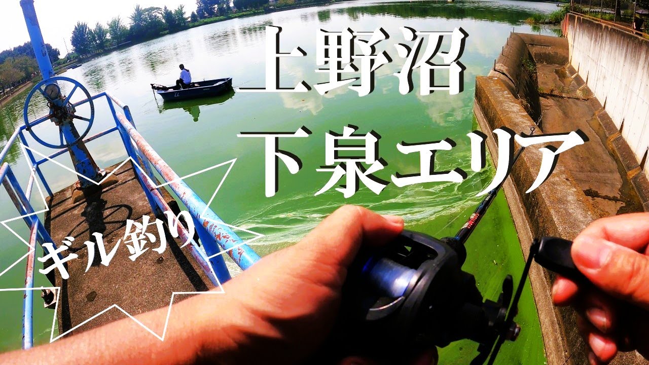【上野沼、ルアー、ウキ釣り】【利根川&荒川水系、バス釣り、コイ釣り、雷魚釣り、ナマズ釣り、フィシング、埼玉釣り、関東釣り、千葉釣り、茨城釣り、桜川市上野原地新田エリア】