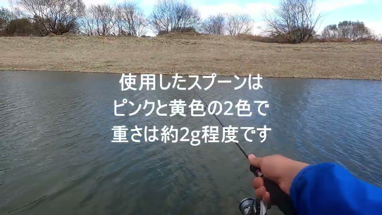 冬のお遊び、一宮北方管理釣り場へ鱒釣りへ