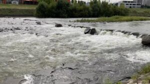 豊平川 ミュンヘン大橋付近で釣りしたら川の様子が…