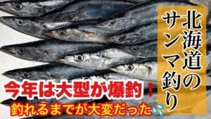 【サンマ釣り】オホーツク海でサンマが大漁!こんなに釣れていいのってぐらい凄かったけど、釣れるまで苦労しました!